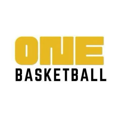 ONE BASKETBALL