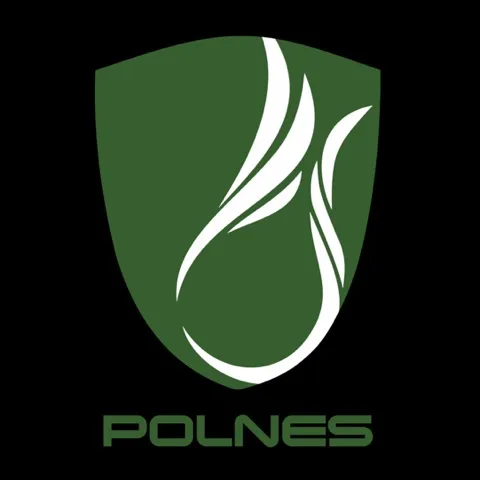 ArsiPolnes