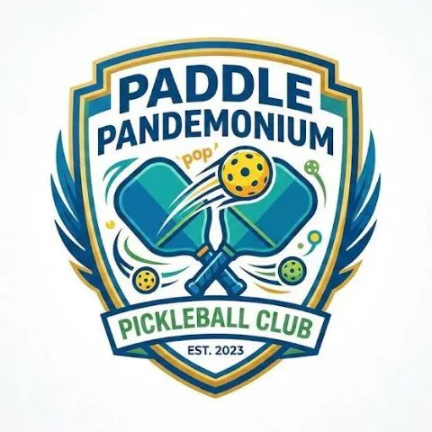 Paddle Pandemonium
