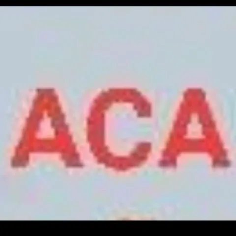 ACA PICKLEBALL Club