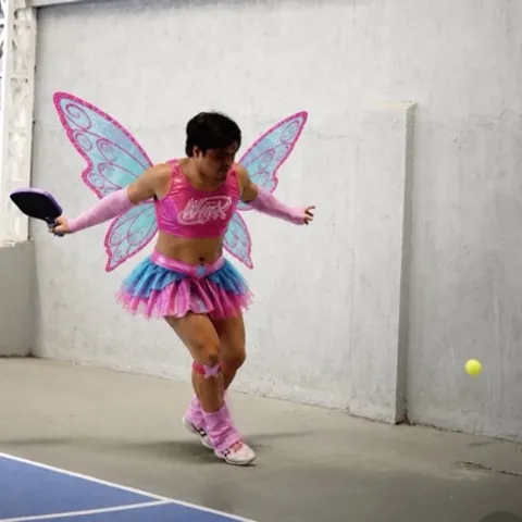 Badinks Pickleball Club