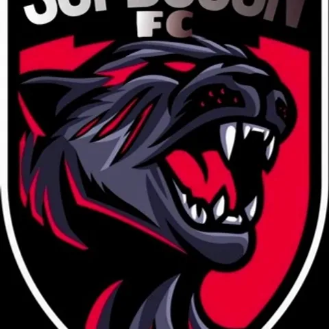 SUPBOGON FC