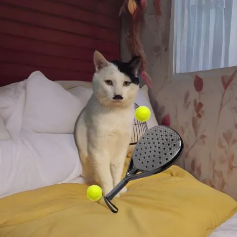 Padel Fun