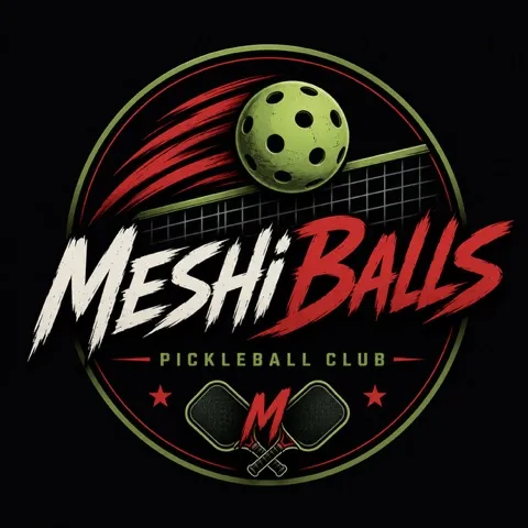MeshiBalls