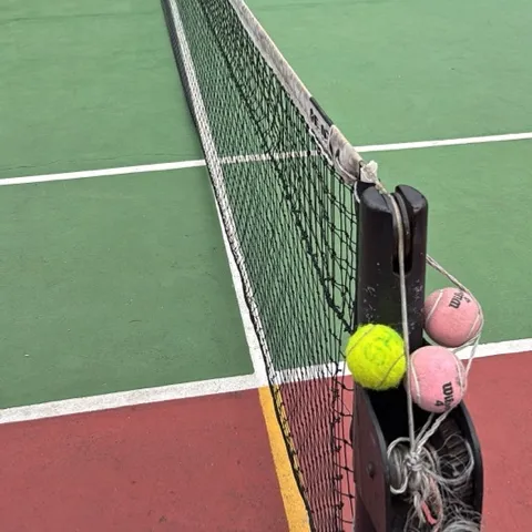RALLY SOCIETY 🎾