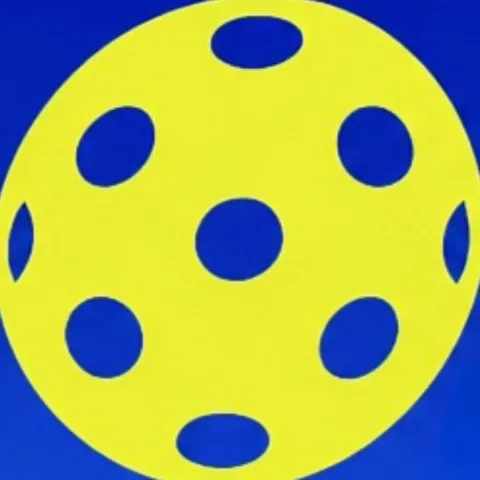 RALLY ON • THE 3HR PICKLEBALL CLUB