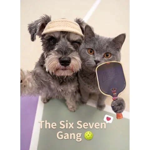 The Six Seven Gang