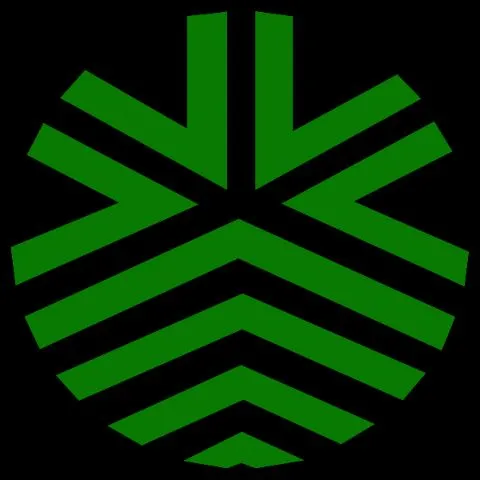 荃葵青戰鬥組