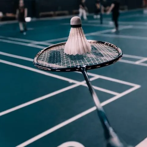 Medanese Badminton 