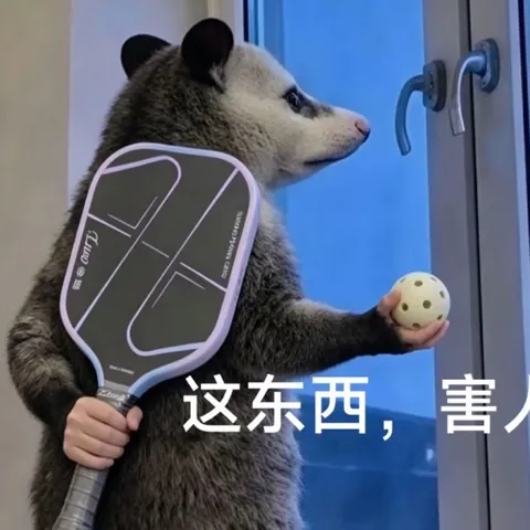 中文Pickleball club