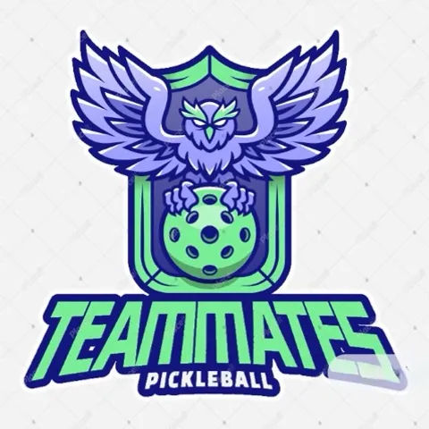 TEAMMATES 