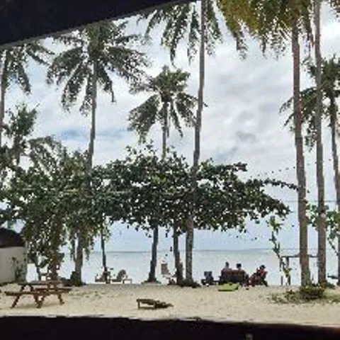 Visayan Pickleball Executives