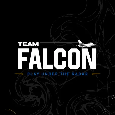 Hangar 8 | Team Falcon 🛩️