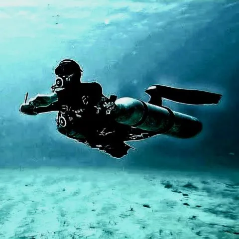 FUN DIVE Sibugay