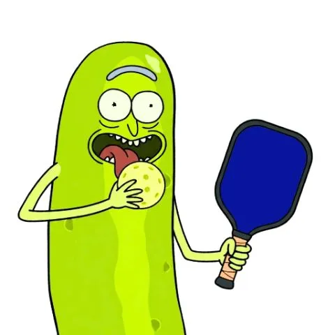 PaddlePat