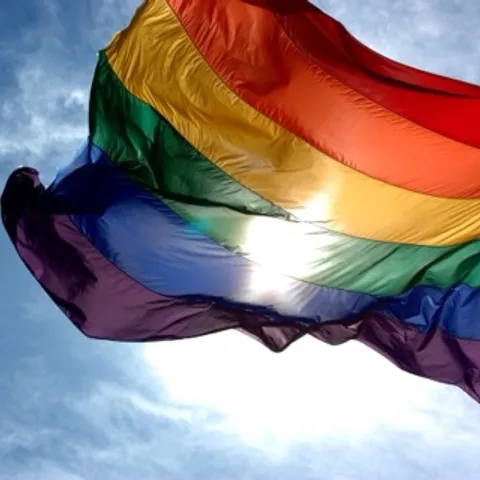Pride Picklers and Allies