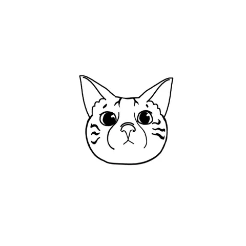 Nekoma Pickleball Club