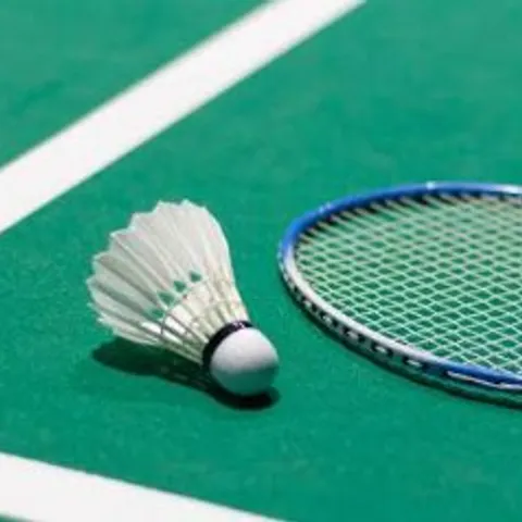 Fun Smash Badminton