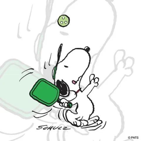 Snoopy Pickles