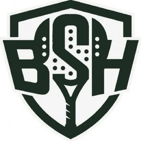 Brother n Sisterhood (BSH)