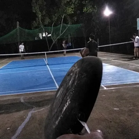chillin in another world pickleball 