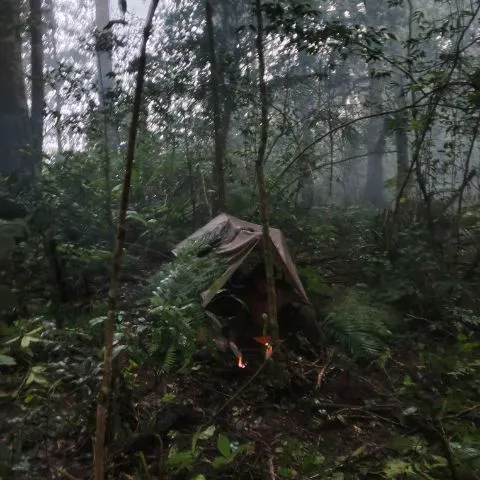 Tropical.Trail