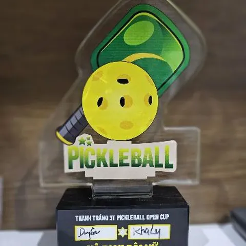 Pickleball 3T - Healthy Sports
