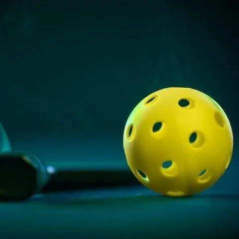 摸魚匹克俱樂部