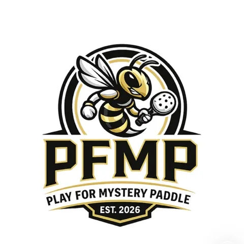 Play For Mystery Paddle