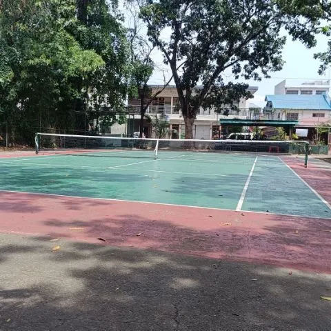 Everyday Tennis