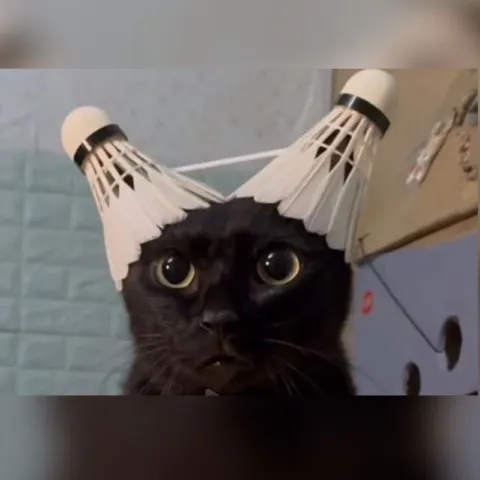 Racket Therapy