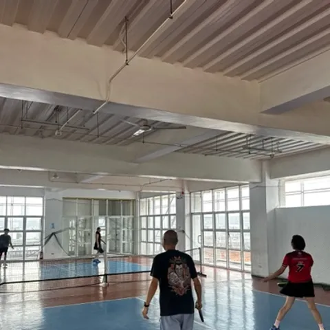 PICKLE BALL NEWBIE PRO MAX
