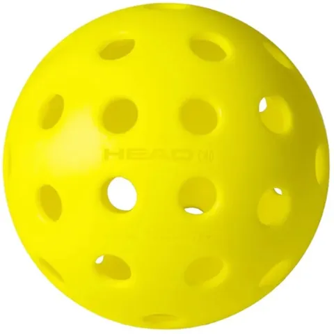 DG Pickleballers