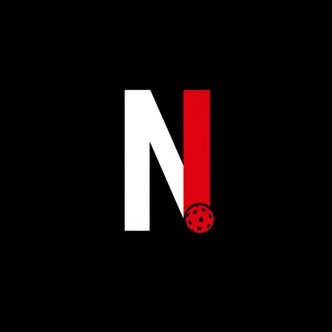 Netflicks