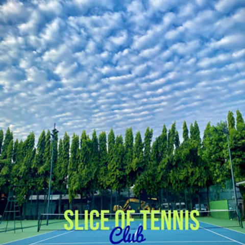 Slice of Tennis 