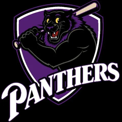 Panthers Slowpitch