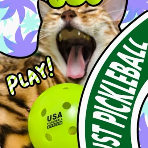 Just Pickleball