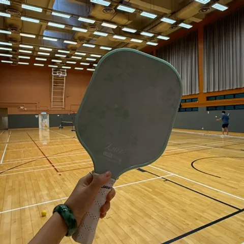 Let‘s Pickle Pickle Ball 匹克球 