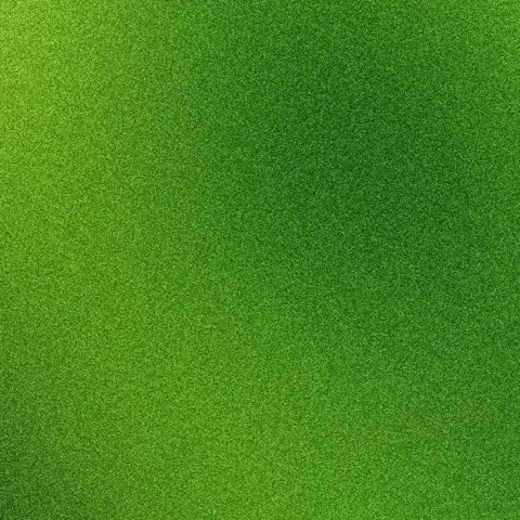 Boredom Tennis Club