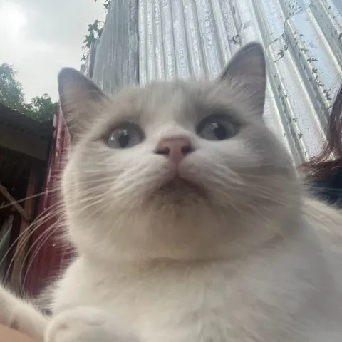 Sundinks