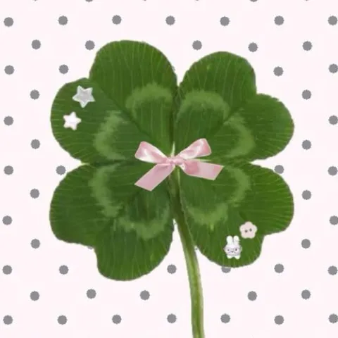 Beginner's Luck Club