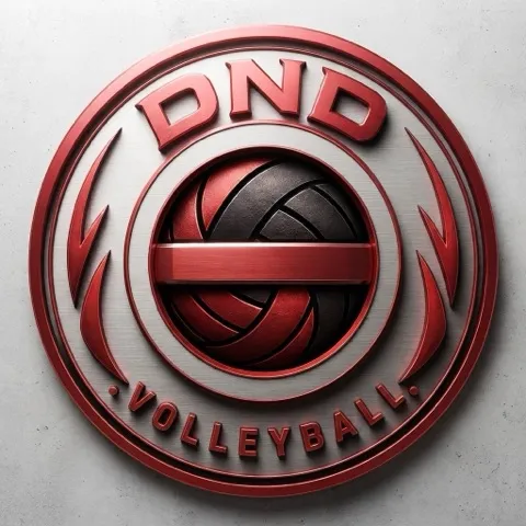 DND Volleyball🔥