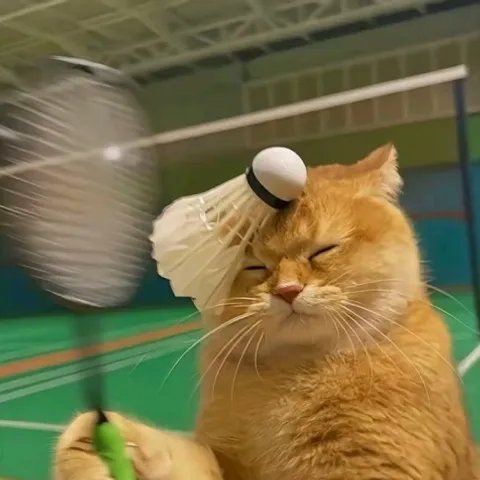Neko Smashers