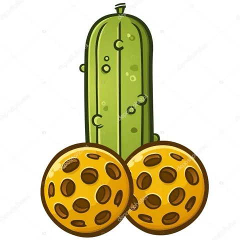 Pickle🏓Dix