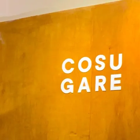 C O S U G A R E🏸