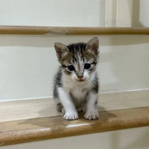 悠闲佛系平躺social club