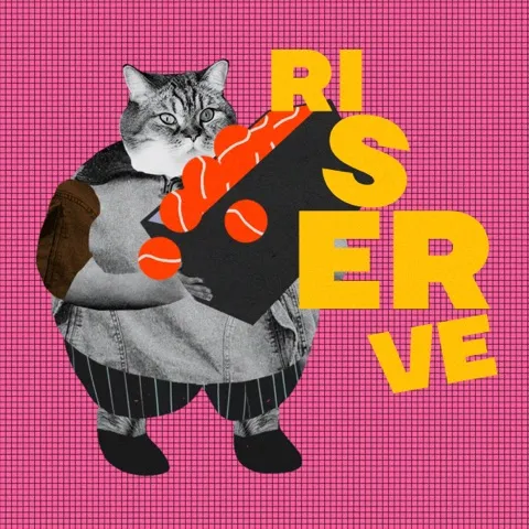 Riserve