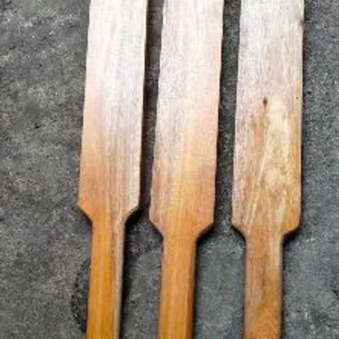 Renan palo palo club