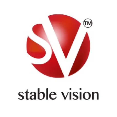 Stable Vision