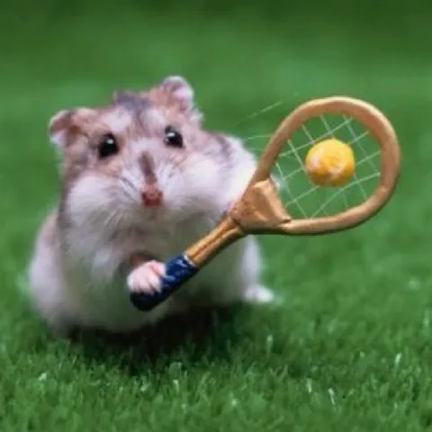 Tennis Obsession🎾